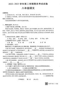 河南省濮阳市2022-2023学年八年级下学期7月期末语文试题