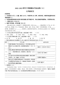 河南省漯河市舞阳县2022-2023学年七年级下学期期末语文试题（含答案）