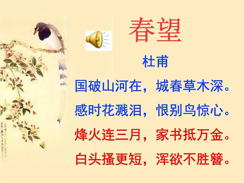 八上春望同步课件05