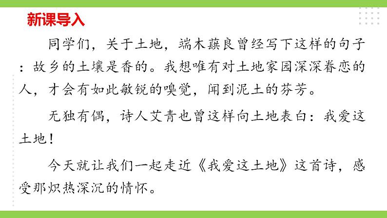 【核心素养】部编版初中语文九年级上册3《我爱这土地》 课件+教案+同步测试（含答案）+导学案（师生版）01