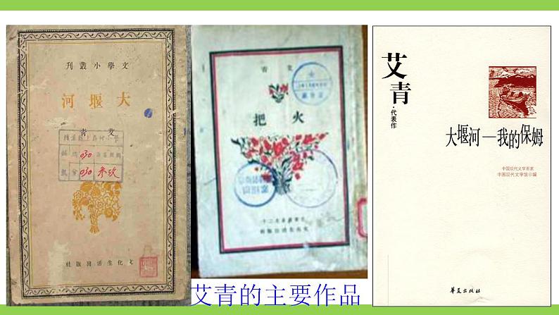 【核心素养】部编版初中语文九年级上册3《我爱这土地》 课件+教案+同步测试（含答案）+导学案（师生版）06