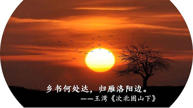 【核心素养】部编版初中语文九年级上册4《乡愁》 课件+教案+同步测试（含答案）+导学案（师生版）02