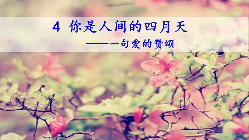 【核心素养】部编版初中语文九年级上册5《你是人间的四月天》 课件+教案+同步测试（含答案）+导学案（师生版）02