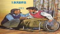 初中语文人教部编版七年级上册秋天的怀念精品课件ppt