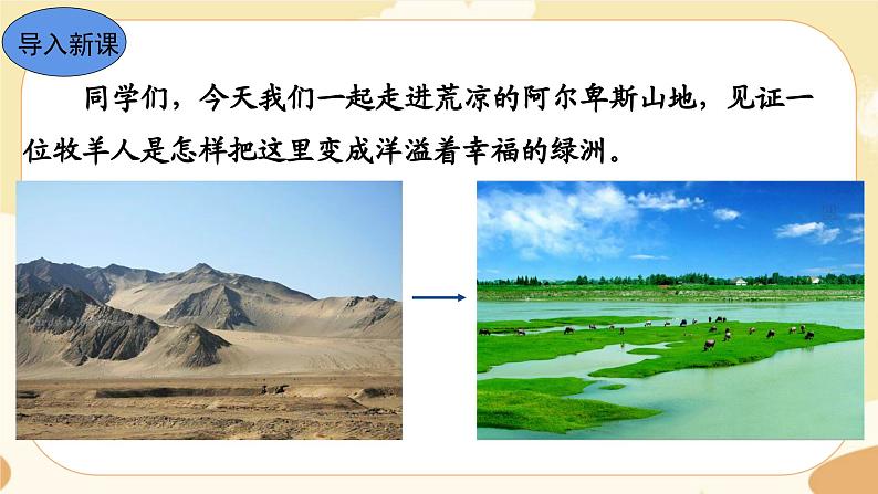 13《植树的牧羊人》课件+教案+导学案（含反思）03