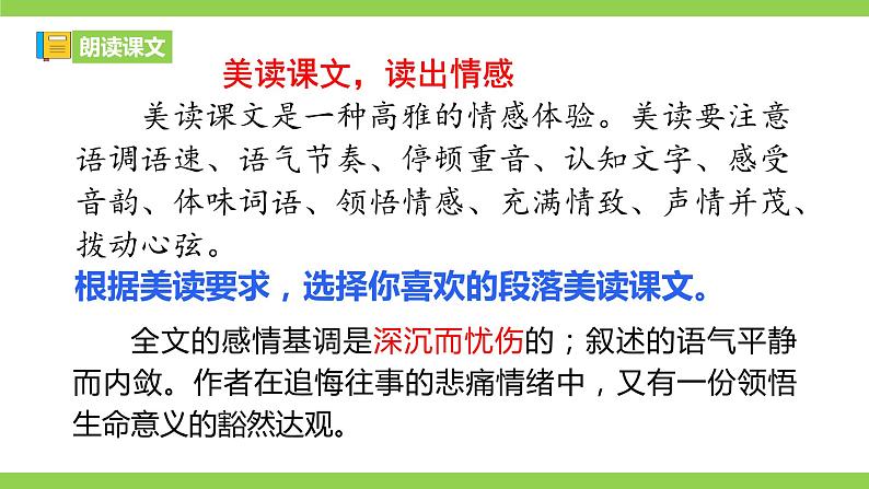 【核心素养】部编版初中语文七年级上册5《秋天的怀念》 课件+教案+同步测试（含答案）+导学案（师生版）508