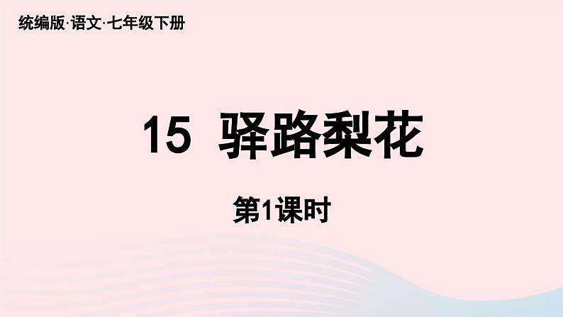 2023七年级语文下册第4单元15驿路梨花第1课时课件（部编版）第6页