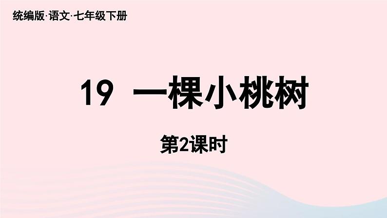 2023七年级语文下册第5单元19一棵小桃树第2课时课件（部编版）01