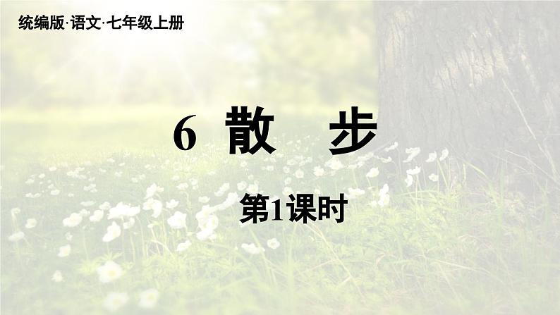 2023七年级语文上册第2单元6散步第1课时课件（部编版）第2页