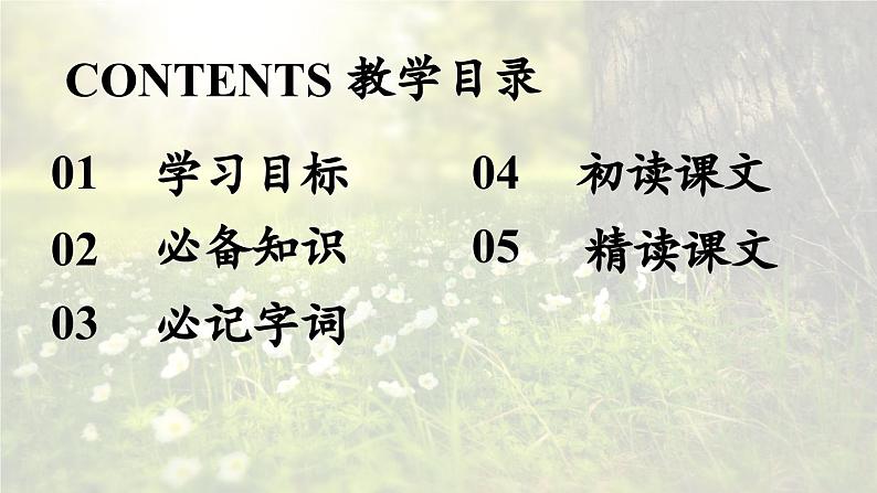 2023七年级语文上册第2单元6散步第1课时课件（部编版）第3页