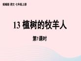 2023七年级语文上册第4单元13植树的牧羊人第1课时课件（部编版）