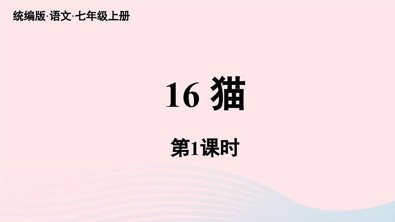 2023七年级语文上册第5单元16猫第1课时课件（部编版）04