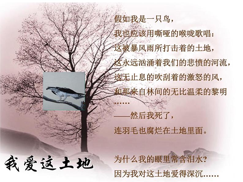 第2课《我爱这土地》PPT课件4-九年级语文上册统编版第4页