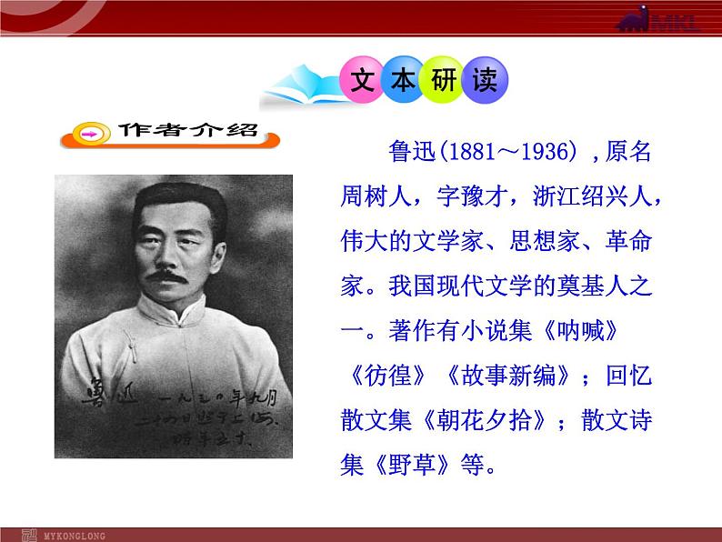 第14课《故乡》PPT课件1-九年级语文上册统编版第7页