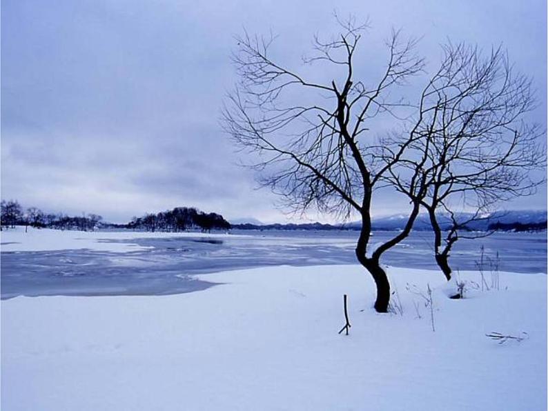 第12课《湖心亭看雪》PPT课件2-九年级语文上册统编版第6页