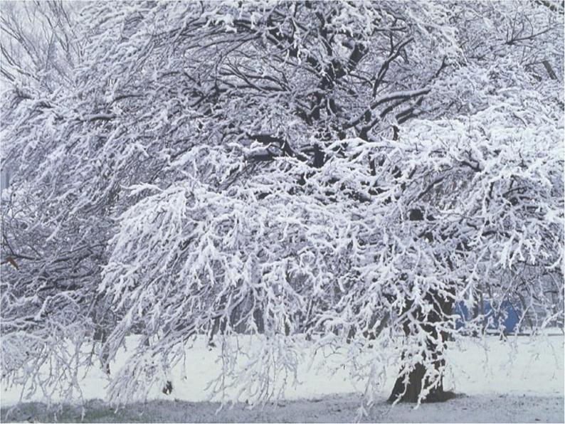 第12课《湖心亭看雪》PPT课件2-九年级语文上册统编版第7页