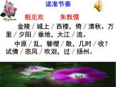 八上課外古詩詞相見歡同步課件