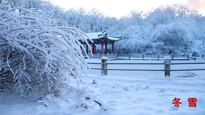 2023八年级语文下册第2单元5大自然的语言第1课时精品课件（部编版）第4页