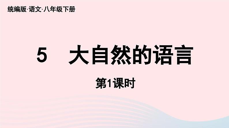 2023八年级语文下册第2单元5大自然的语言第1课时精品课件（部编版）第6页