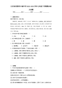 江西省宜春市丰城中学2022-2023学年七年级下学期期末语文试题（含答案）