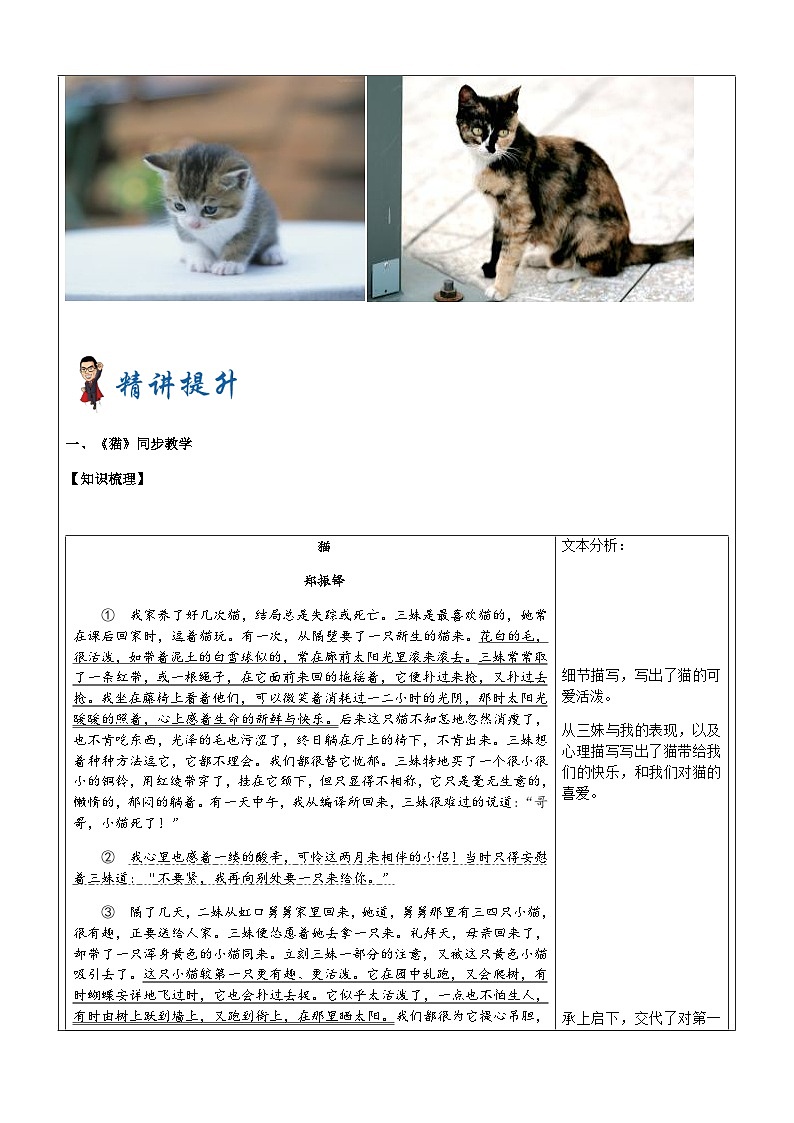 暑假新部编版七年级语文第15讲-《猫》+提炼文章中心 课件教案学案03
