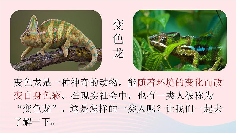 2023九年级语文下册第2单元6变色龙第1课时课件（部编版）01