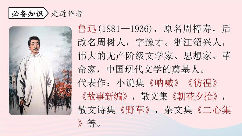 2023九年级语文下册第2单元5孔乙己第1课时课件（部编版）第6页