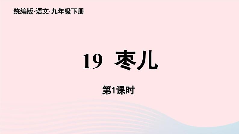 2023九年级语文下册第5单元19枣儿第1课时课件（部编版）第3页