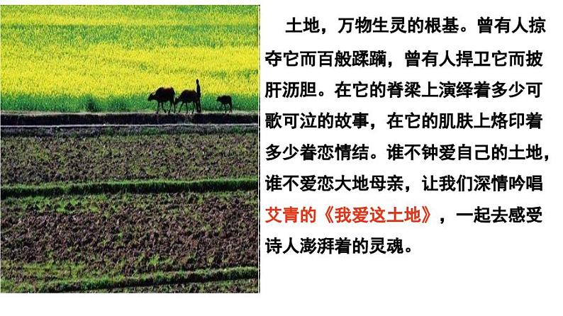 九上我爱这土地同步课件03