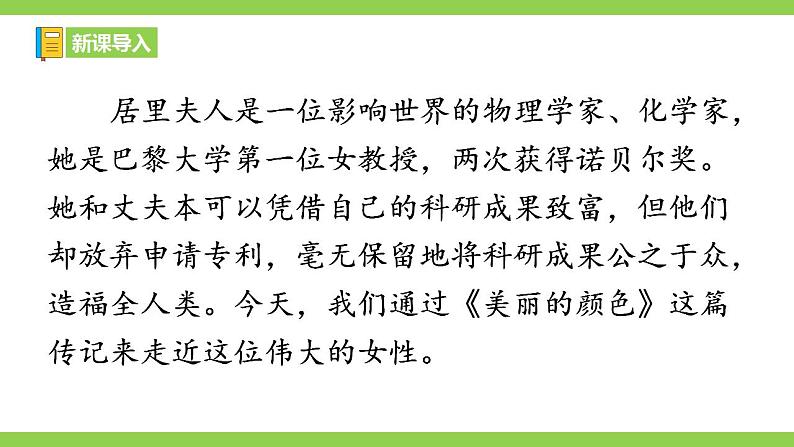 【核心素养】部编版初中语文八年级上册9《美丽的颜色》 课件+教案+同步测试（含答案）+导学案（师生版）01