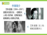 【核心素养】部编版初中语文八年级上册9《美丽的颜色》 课件+教案+同步测试（含答案）+导学案（师生版）