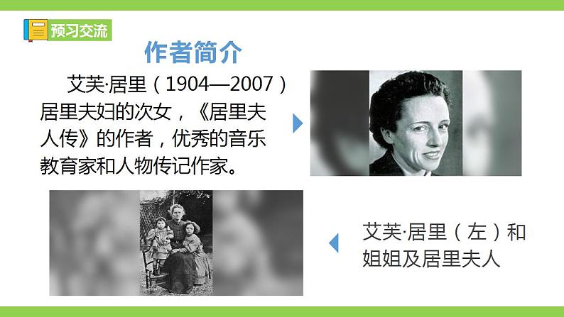 【核心素养】部编版初中语文八年级上册9《美丽的颜色》 课件+教案+同步测试（含答案）+导学案（师生版）04