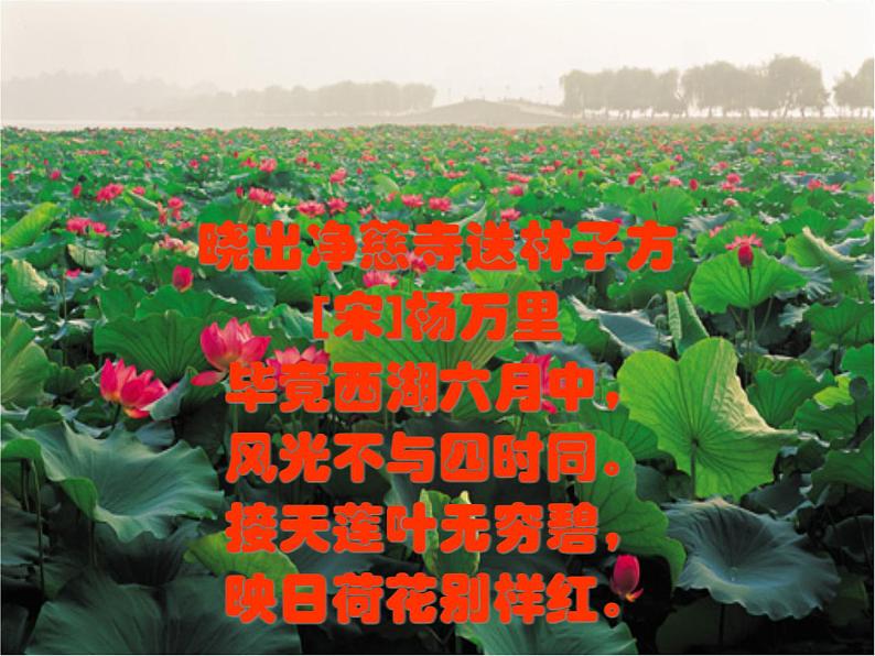 第12课《湖心亭看雪》PPT课件10-九年级语文上册统编版第3页