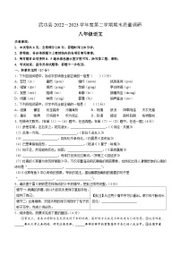 陕西省咸阳市武功县2022-2023学年八年级下学期期末语文试题（含答案）