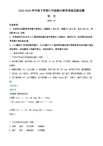 精品解析：山东省临沂市沂南县2022-2023年八年级下学期期末语文试题（解析版）