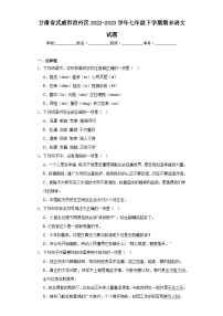 甘肃省武威市凉州区2022-2023学年七年级下学期期末语文试题（含答案）