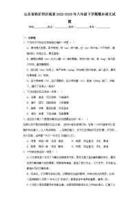 山东省临沂市沂南县2022-2023年八年级下学期期末语文试题（含答案）
