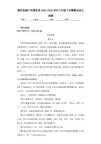 湖北省咸宁市嘉鱼县2022-2023学年八年级下学期期末语文试题（含答案）