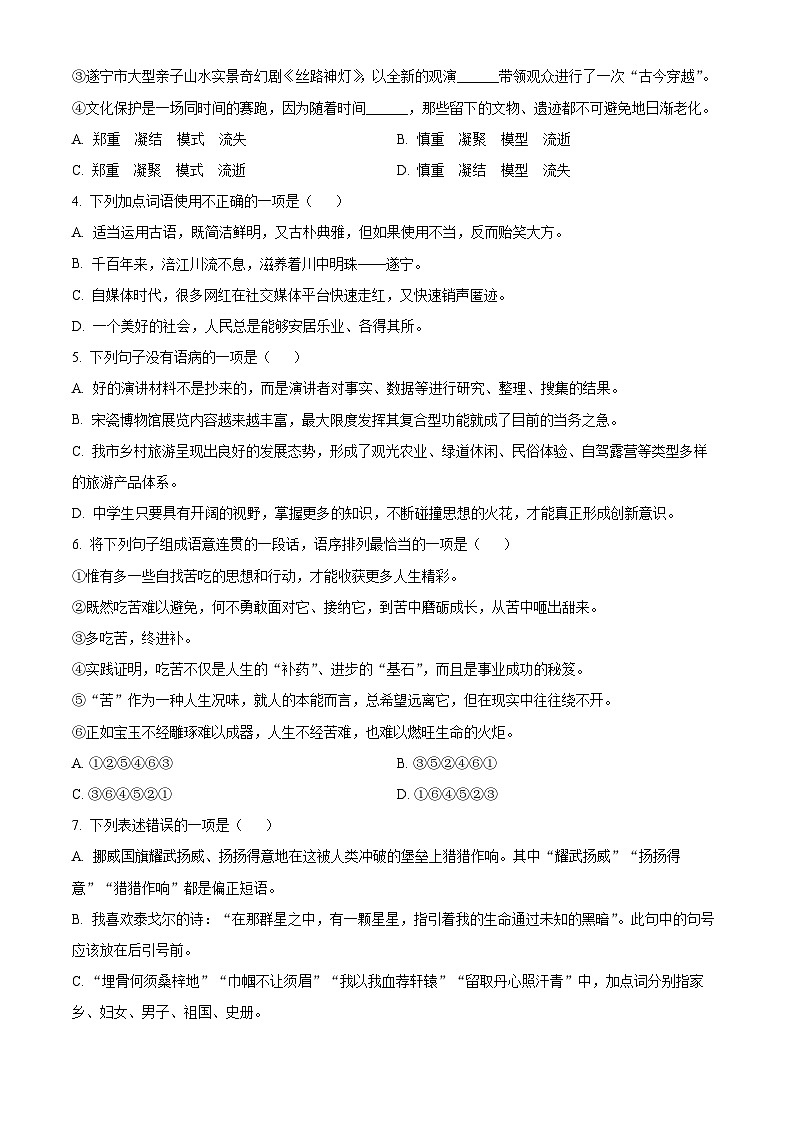 2023年四川省遂宁市中考语文真题02