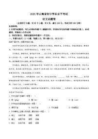 2023年云南省中考语文真题