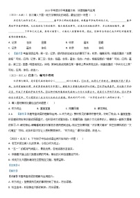 2023中考语文中考真题分类  词语理解与运用