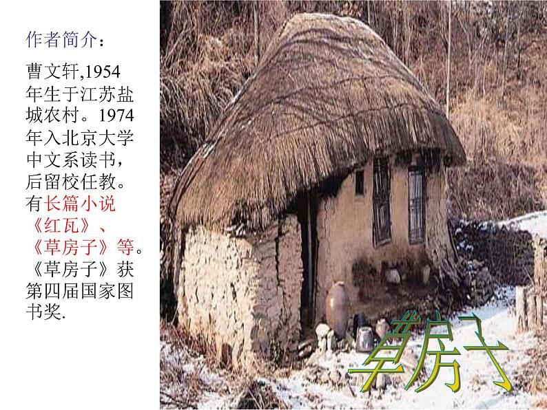 第16课《孤独之旅》PPT课件2-九年级语文上册统编版第2页