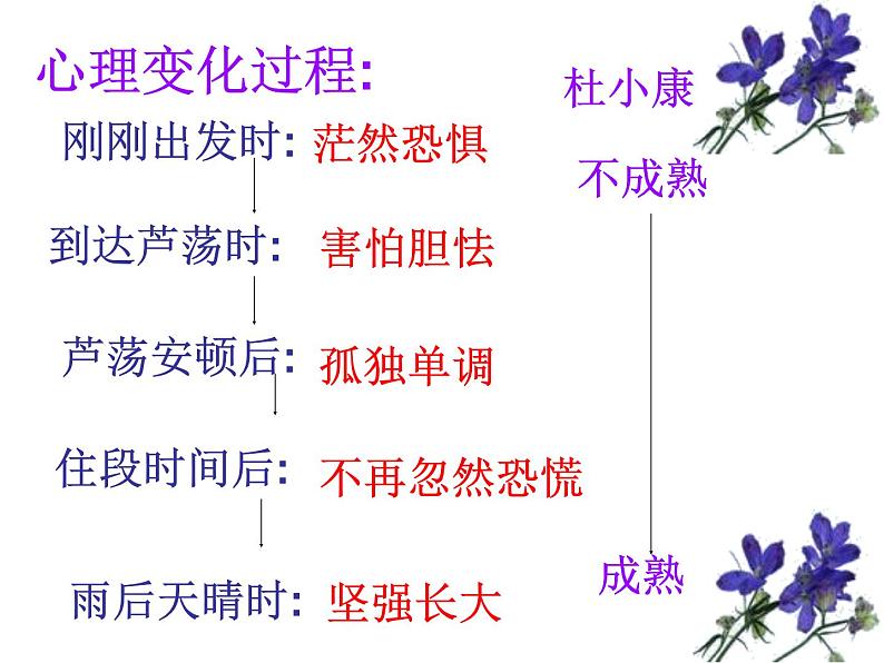 第16课《孤独之旅》PPT课件2-九年级语文上册统编版第7页