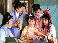 人教部编版九年级上册刘姥姥进大观园教学课件ppt
