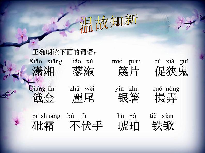第24课《刘姥姥进大观园》PPT课件6-九年级语文上册统编版06