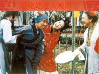 人教部编版九年级上册刘姥姥进大观园教学演示课件ppt