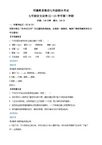 精品解析：湖南省长沙市明德教育集团2022-2023学年七年级下学期期末语文试题（解析版）