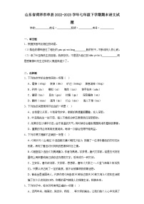 山东省菏泽市单县2022-2023学年七年级下学期期末语文试题（含答案）
