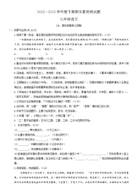 河南省驻马店市确山县2022-2023学年七年级下学期期末考试语文试题