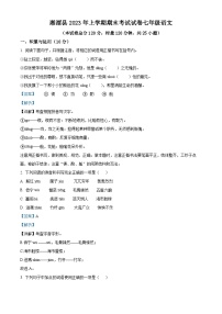 精品解析：湖南省湘潭市湘潭县2022-2023学年七年级下学期期末语文试题（解析版）